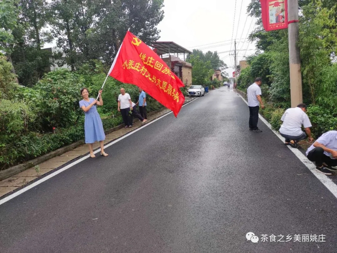 姚庄回族乡组织开展“一人一把扫帚一段路”主题党日活动