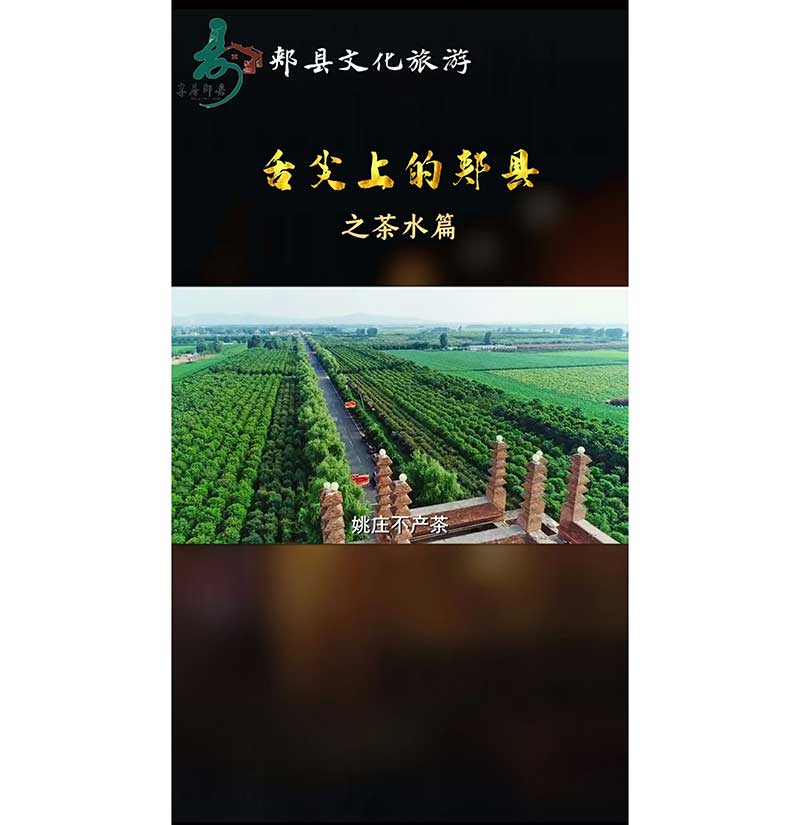 舌尖上的郏县 之茶水篇